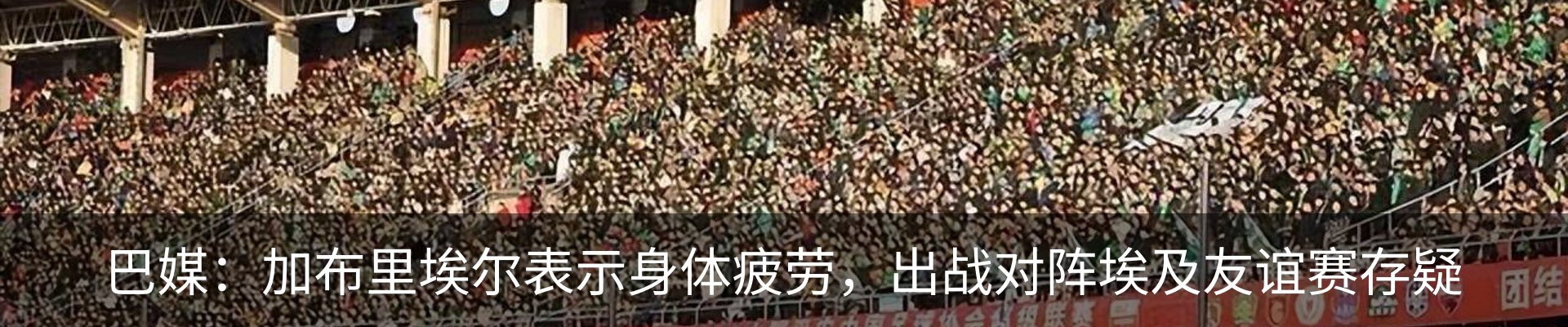 最新动态